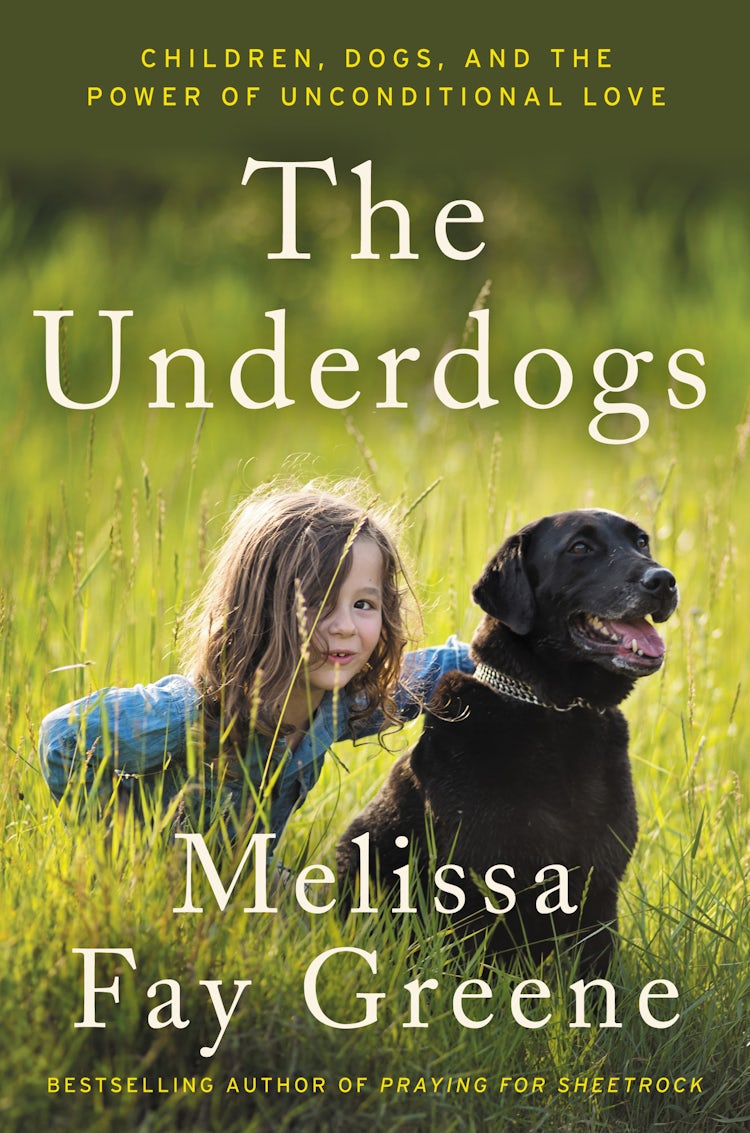 Cover image for The Underdogs, isbn: 9780062218537