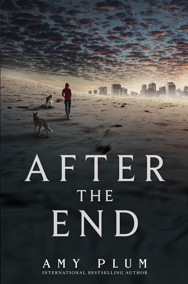 Cover image for After the End, isbn: 9780062225627