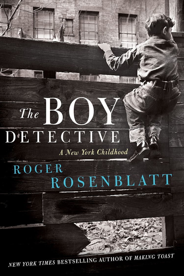 Cover image for The Boy Detective, isbn: 9780062241344