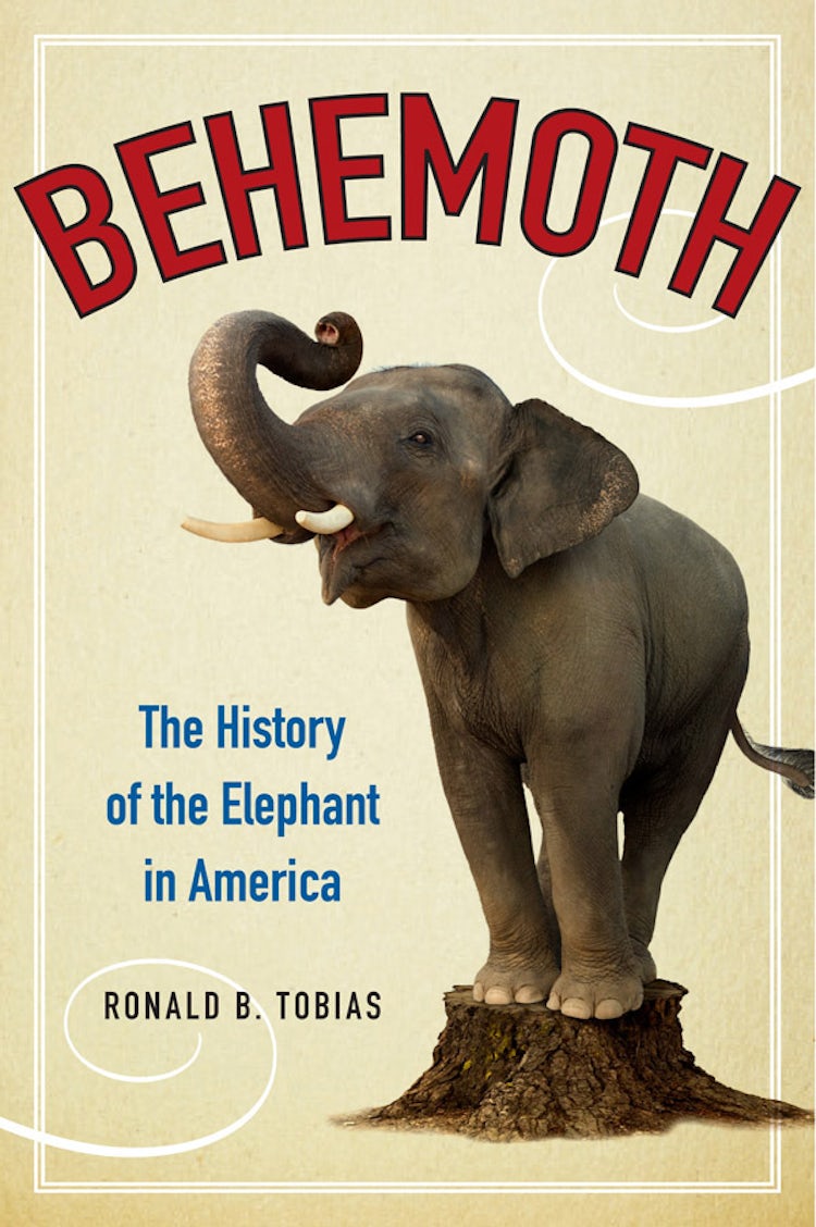 Cover image for Behemoth, isbn: 9780062244864