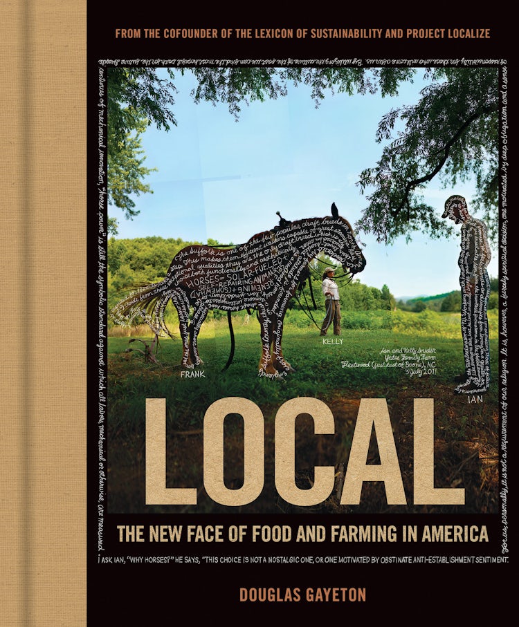 Cover image for Local, isbn: 9780062267641