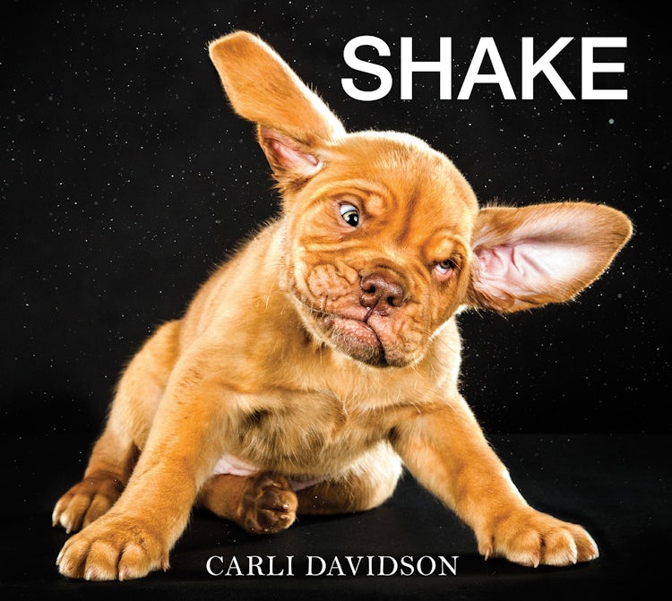 Cover image for Shake, isbn: 9780062271938