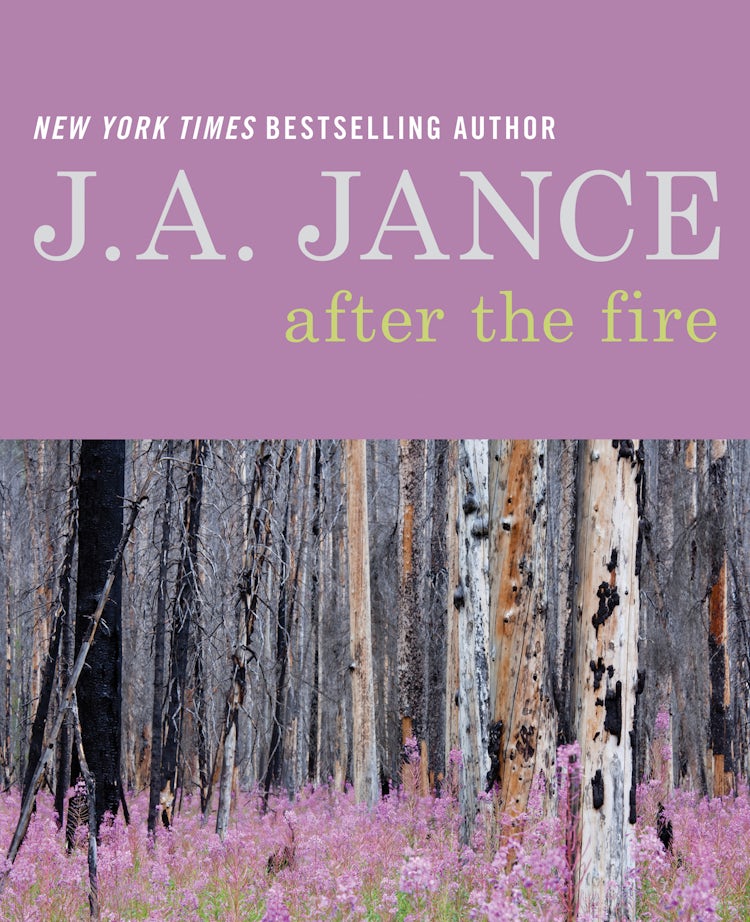 Cover image for After the Fire, isbn: 9780062293985