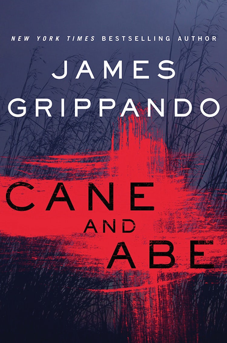 Cover image for Cane and Abe, isbn: 9780062295422