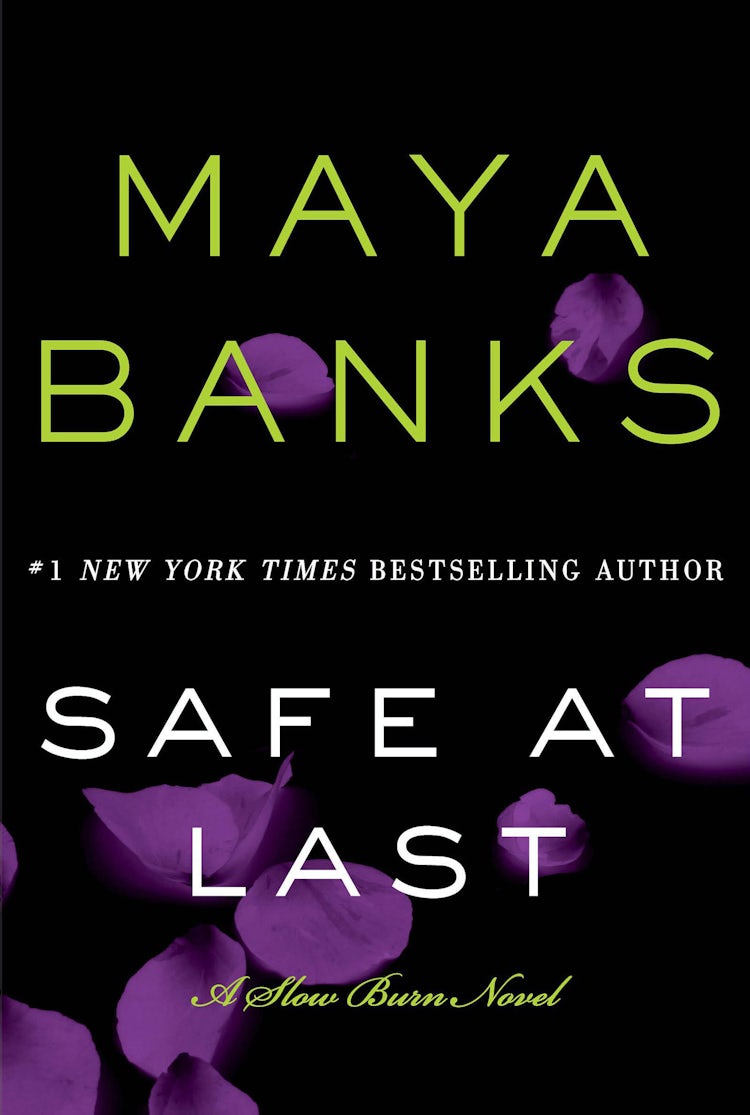Cover image for Safe at Last, isbn: 9780062312518