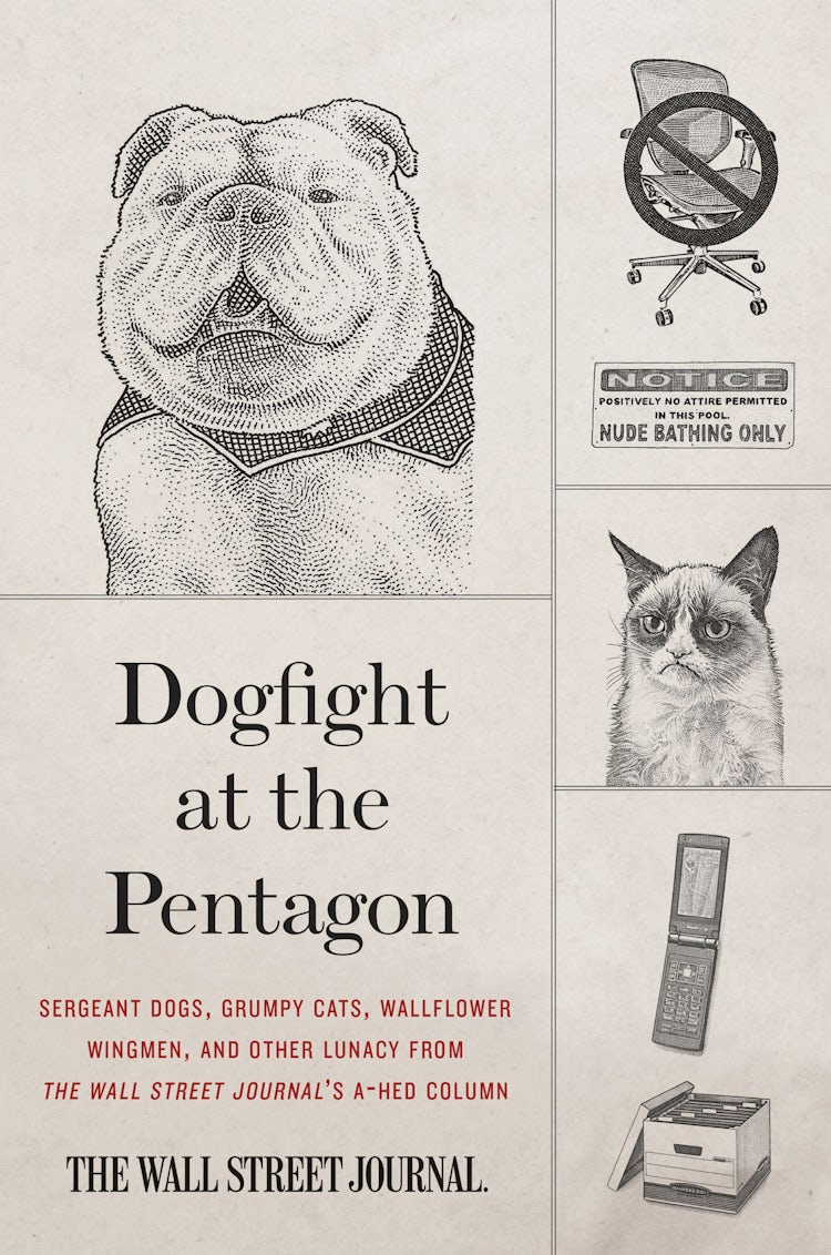 Cover image for Dogfight at the Pentagon, isbn: 9780062333339
