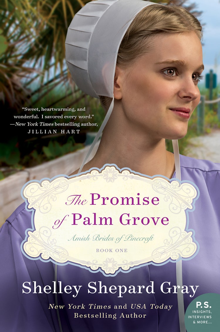 Cover image for The Promise of Palm Grove, isbn: 9780062337719