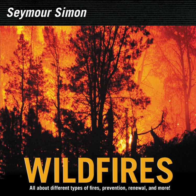 Cover image for Wildfires, isbn: 9780062345035