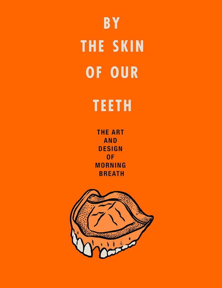 Cover image for By the Skin of Our Teeth, isbn: 9780062348623