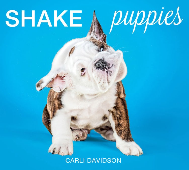 Cover image for Shake Puppies, isbn: 9780062351739