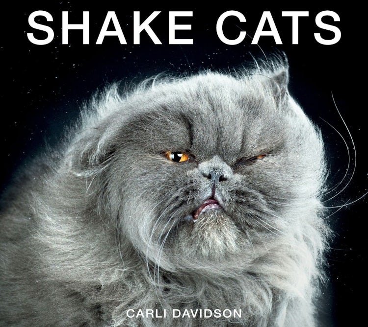Cover image for Shake Cats, isbn: 9780062351753