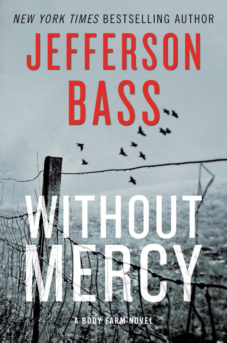 Cover image for Without Mercy, isbn: 9780062363220