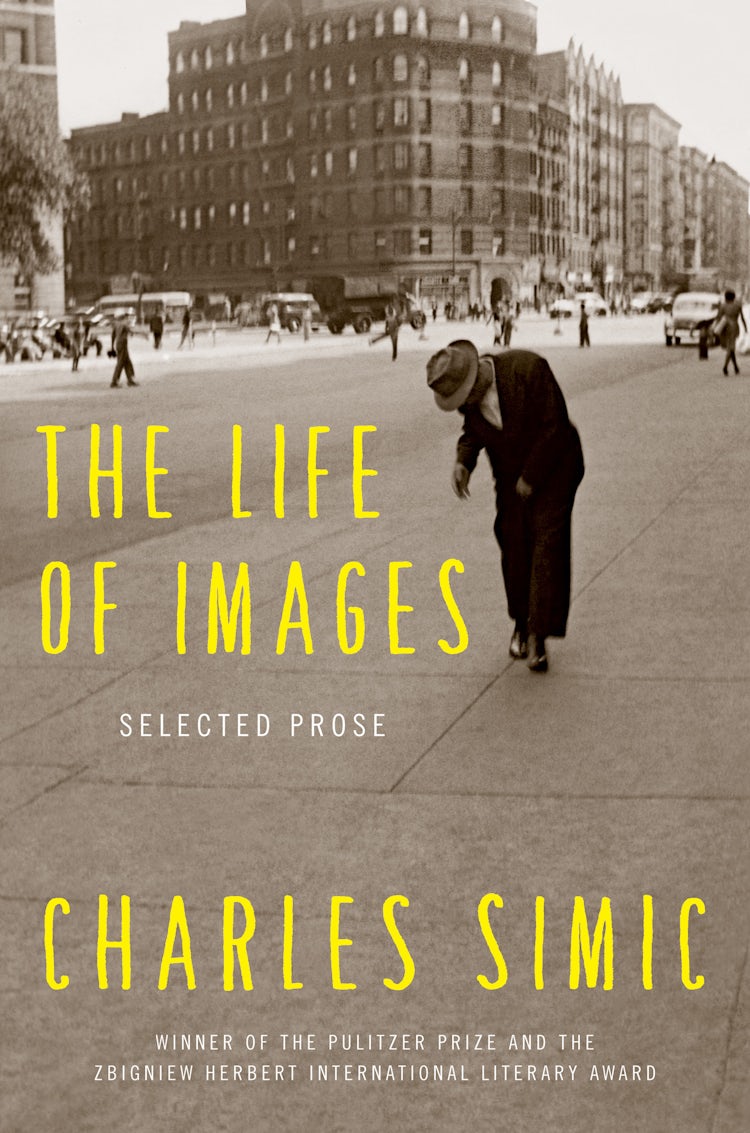 Cover image for The Life of Images, isbn: 9780062364722