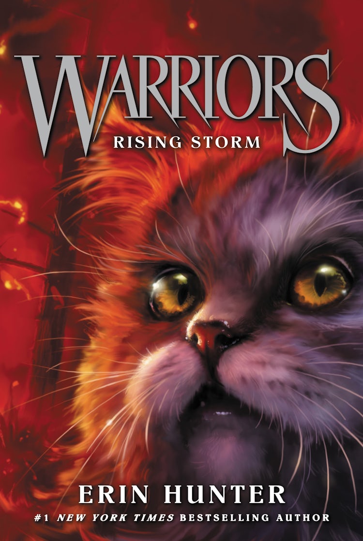 Cover image for Warriors #4: Rising Storm, isbn: 9780062366993