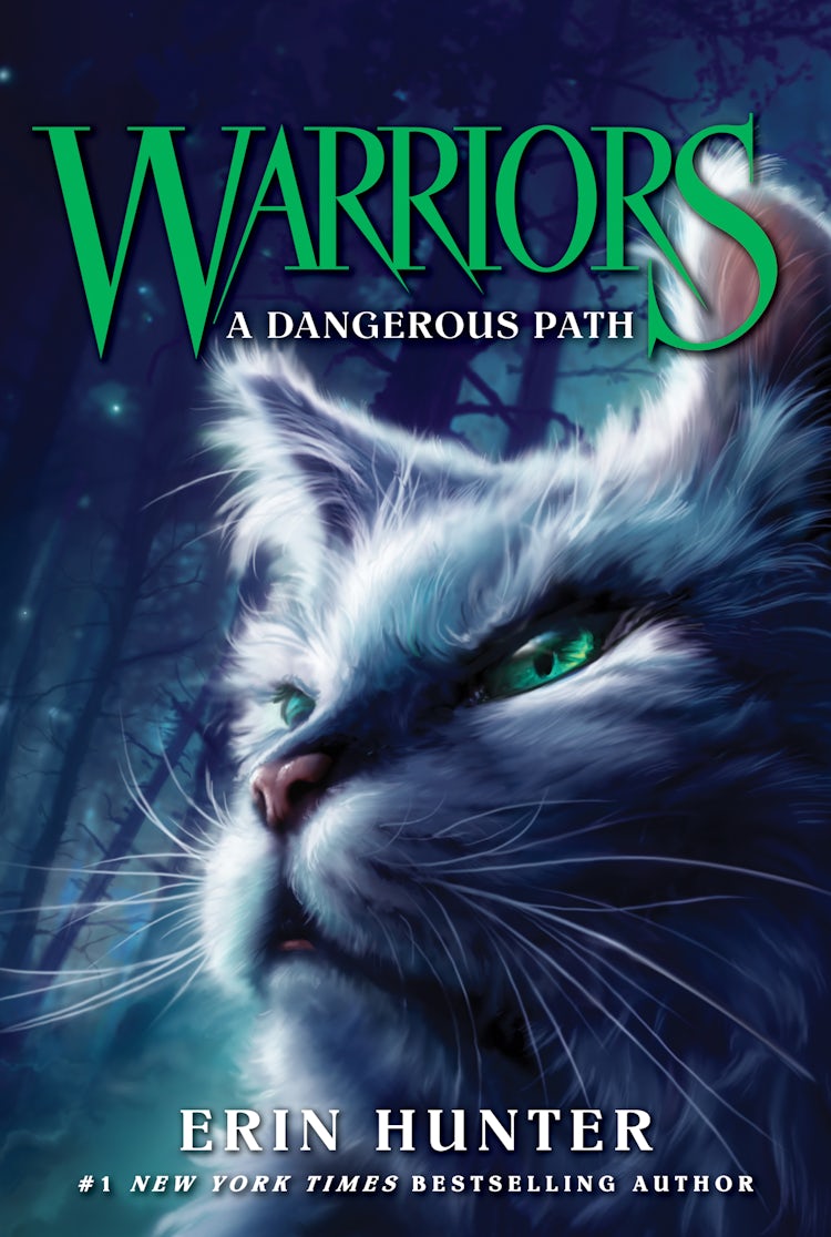 Cover image for Warriors #5: A Dangerous Path, isbn: 9780062367006