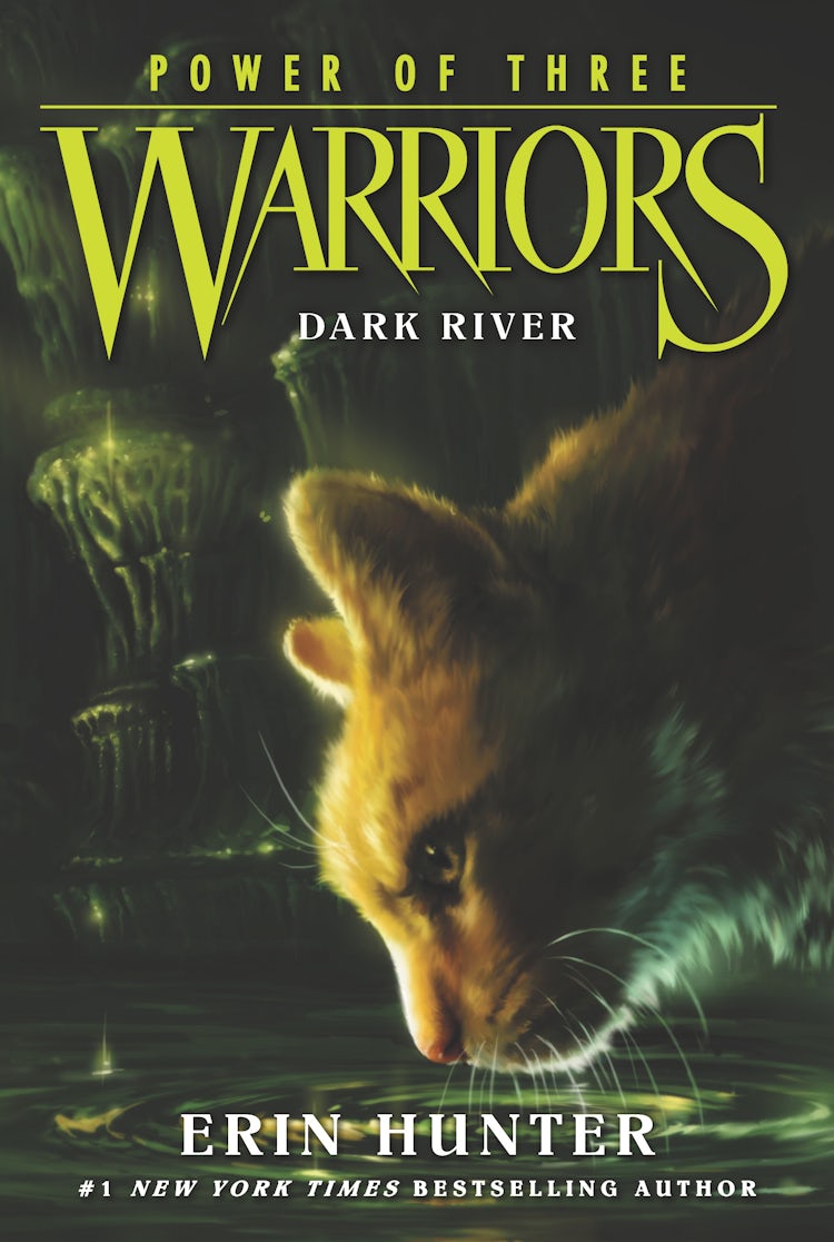 Cover image for Warriors: Power of Three #2: Dark River, isbn: 9780062367099