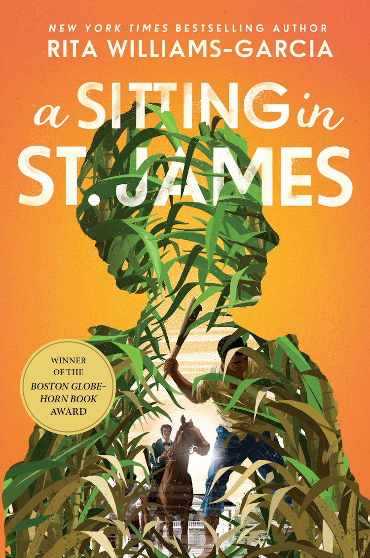 Cover image for A Sitting in St. James, isbn: 9780062367327