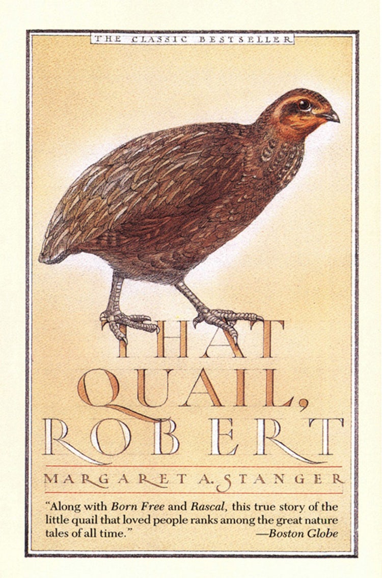 Cover image for That Quail, Robert, isbn: 9780062368195
