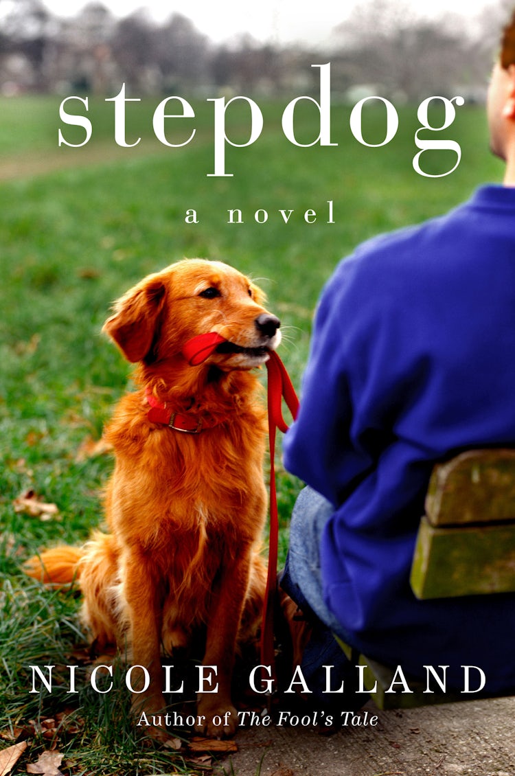 Cover image for Stepdog, isbn: 9780062369482