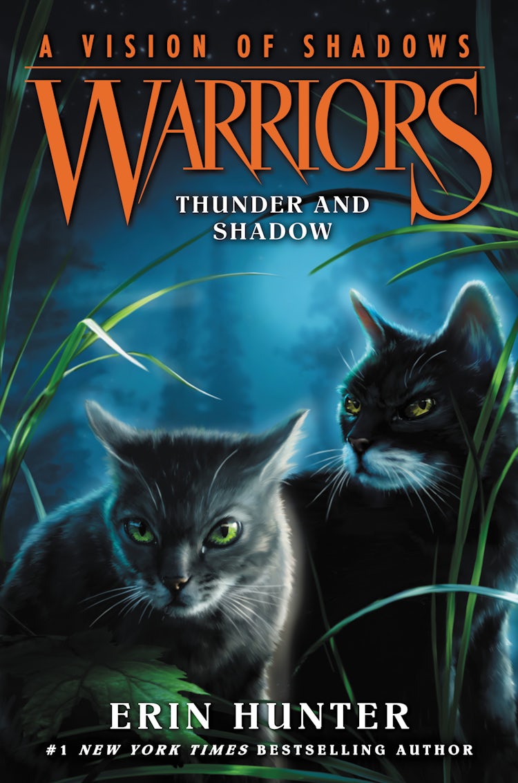 Cover image for Warriors: A Vision of Shadows #2: Thunder and Shadow, isbn: 9780062386441