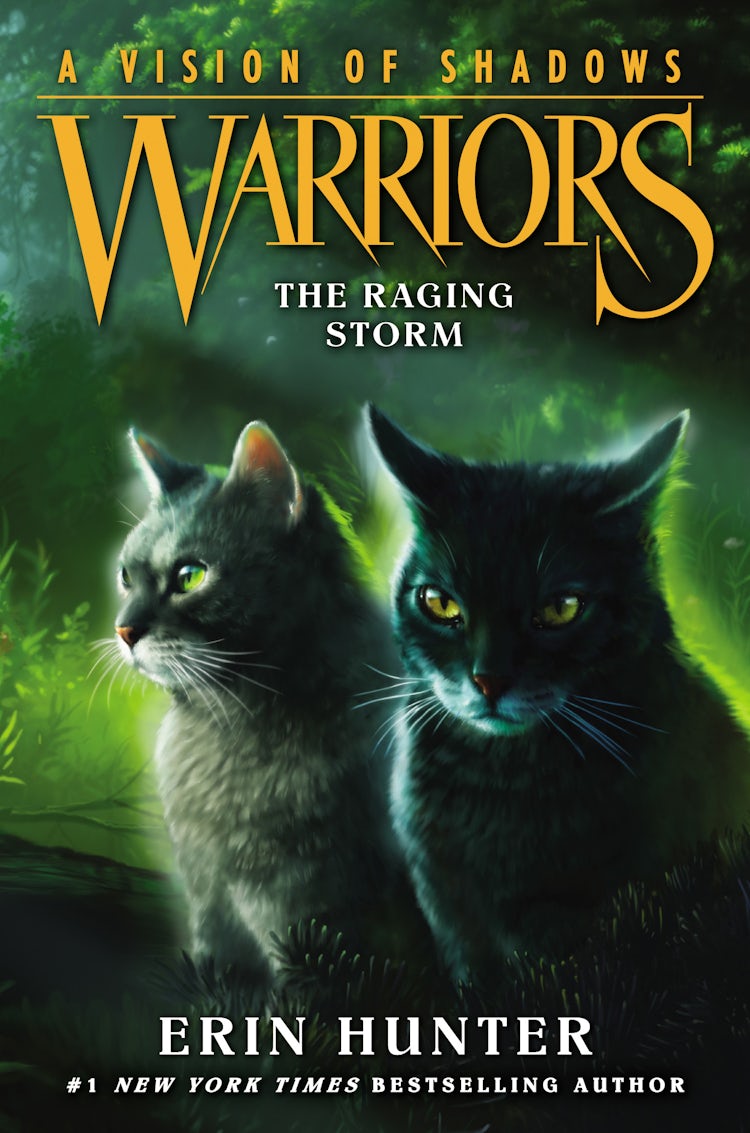 Cover image for Warriors: A Vision of Shadows #6: The Raging Storm, isbn: 9780062386601