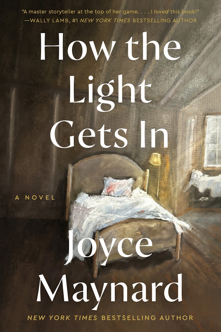 Cover image for How the Light Gets In: A Novel, isbn: 9780062398314
