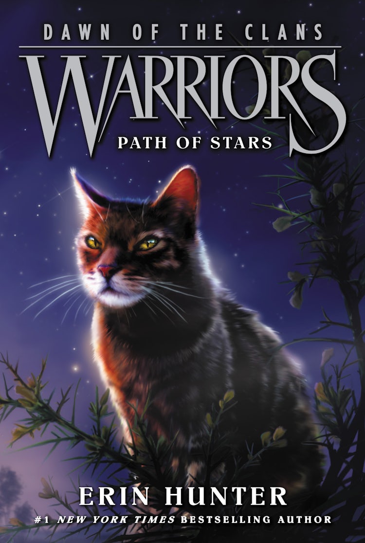 Cover image for Warriors: Dawn of the Clans #6: Path of Stars, isbn: 9780062410047