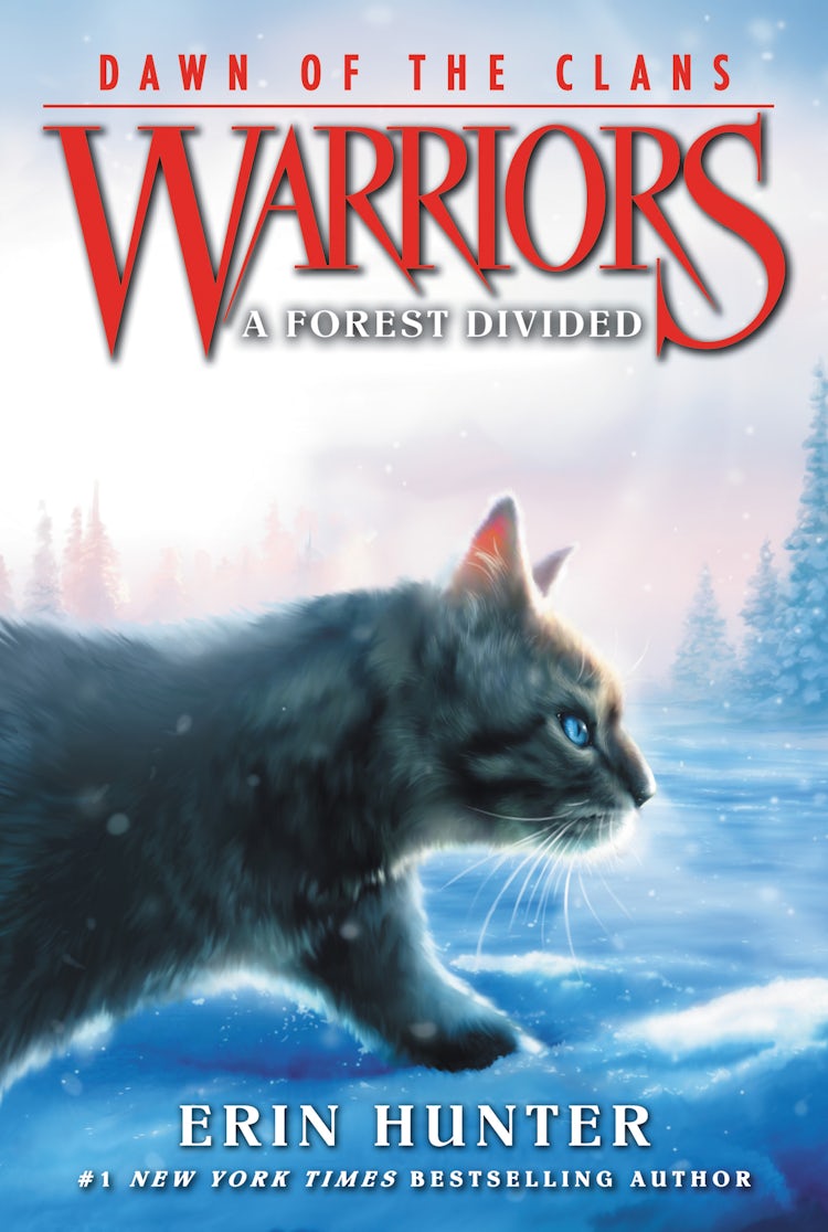 Cover image for Warriors: Dawn Of The Clans #5: A Forest Divided, isbn: 9780062410054