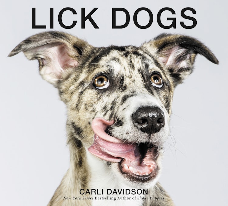 Cover image for Lick Dogs, isbn: 9780062420299
