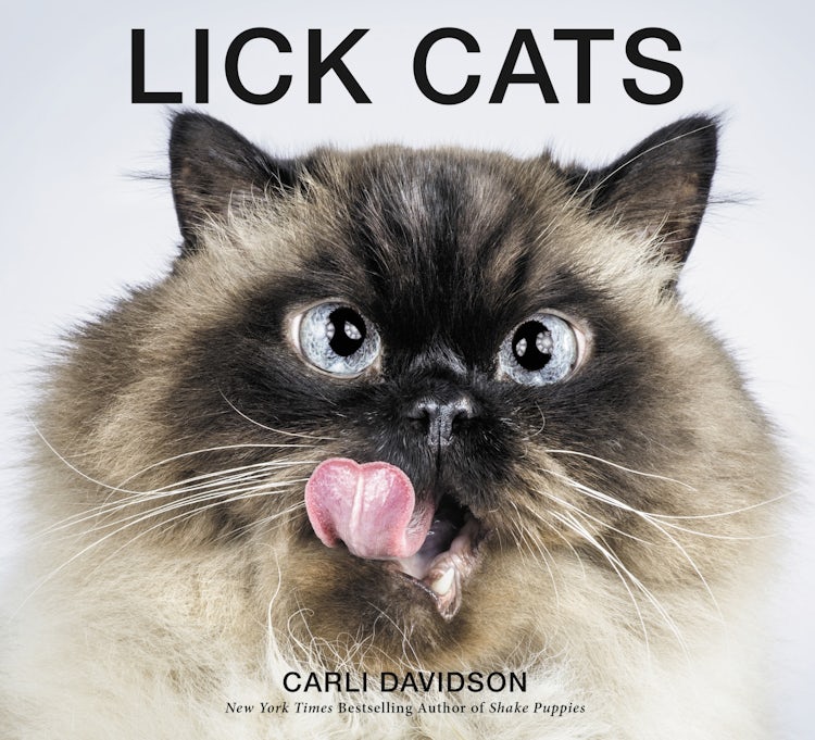 Cover image for Lick Cats, isbn: 9780062420350