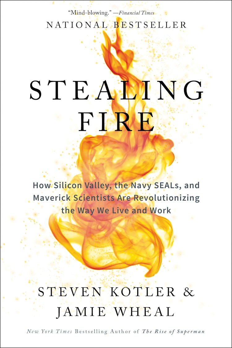Cover image for Stealing Fire: How Silicon Valley, The Navy Seals, And Maverick Scientists Are Revolutionizing The Way We Live And Work, isbn: 9780062429667