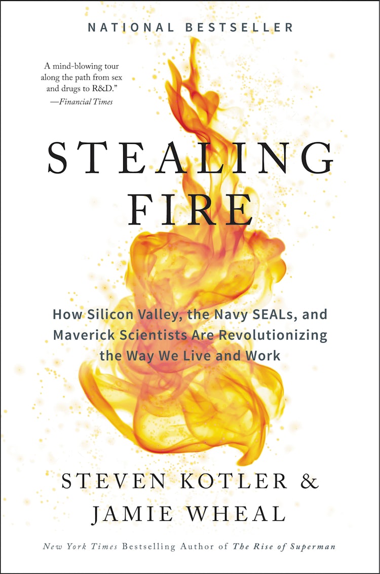 Cover image for Stealing Fire, isbn: 9780062429674
