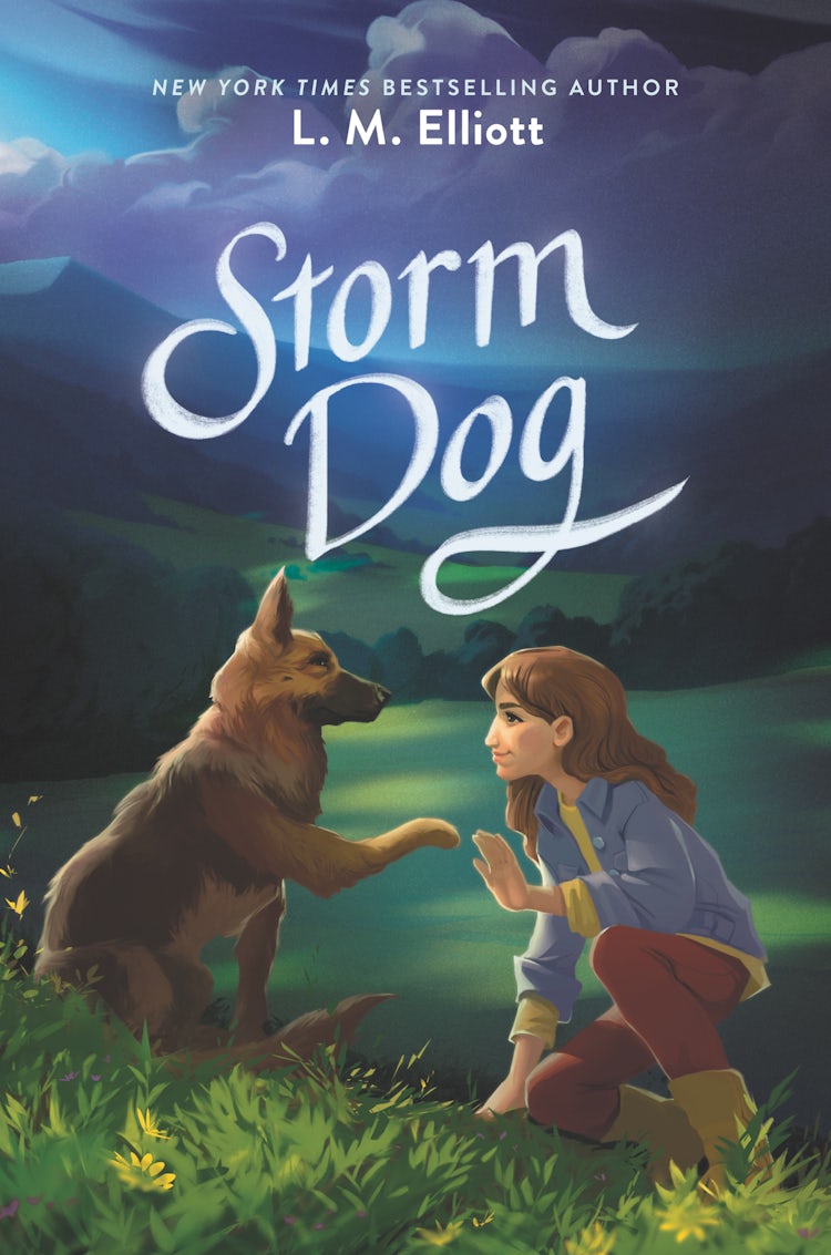 Cover image for Storm Dog, isbn: 9780062430021