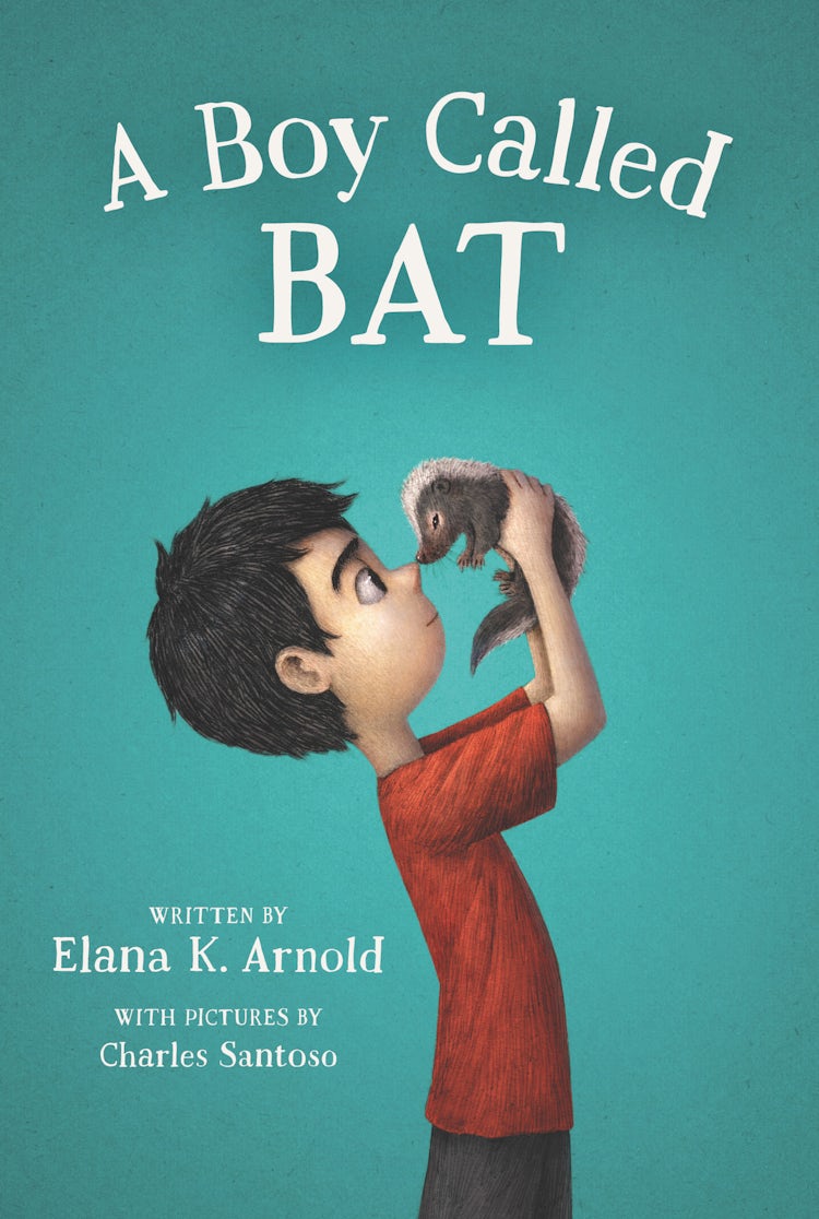 Cover image for A Boy Called Bat, isbn: 9780062445834