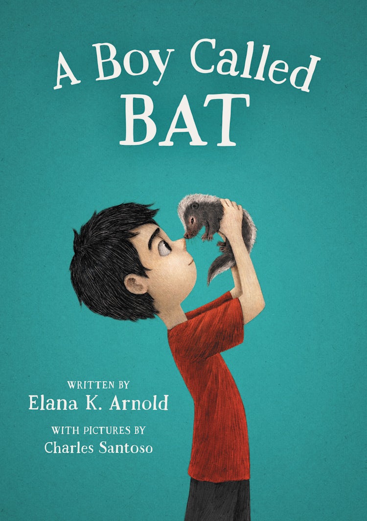 Cover image for A Boy Called Bat, isbn: 9780062445841