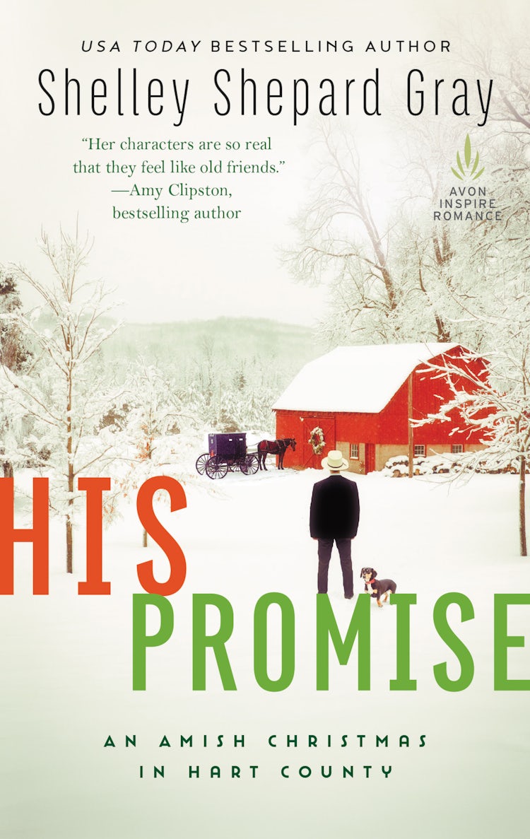 Cover image for His Promise, isbn: 9780062469205
