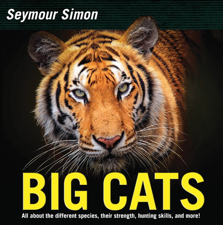 Cover image for Big Cats, isbn: 9780062470379