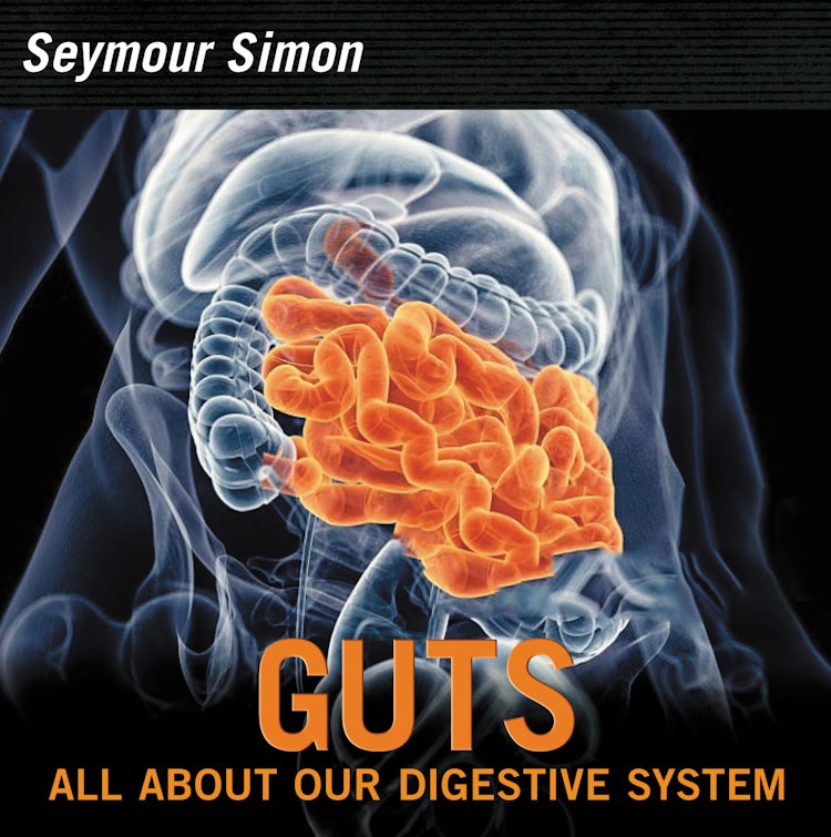 Cover image for Guts, isbn: 9780062470430