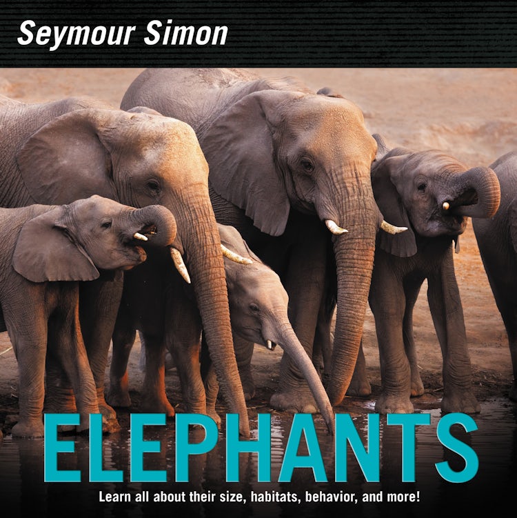 Cover image for Elephants, isbn: 9780062470621