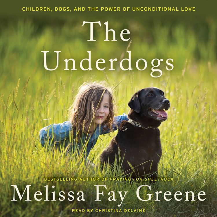 Cover image for The Underdogs, isbn: 9780062471239