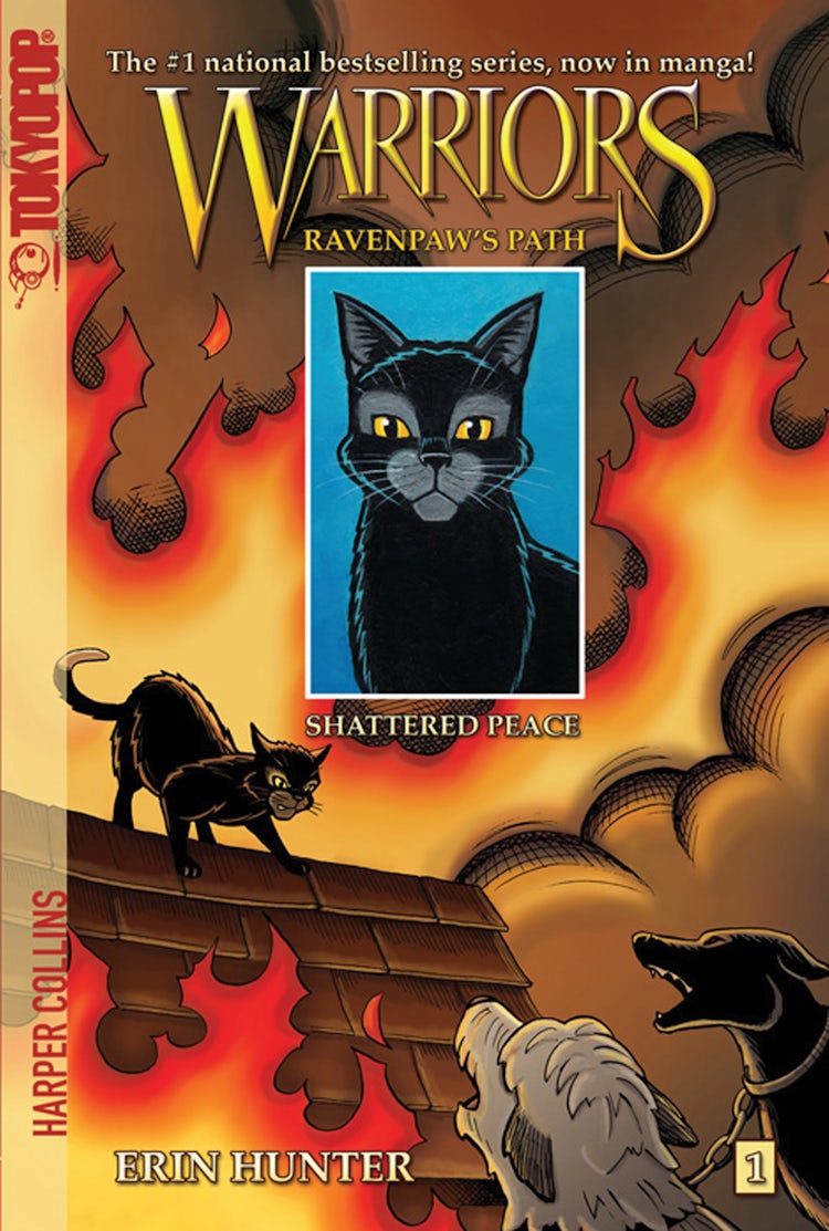 Cover image for Warriors: Ravenpaw's Path #1: Shattered Peace, isbn: 9780062472182