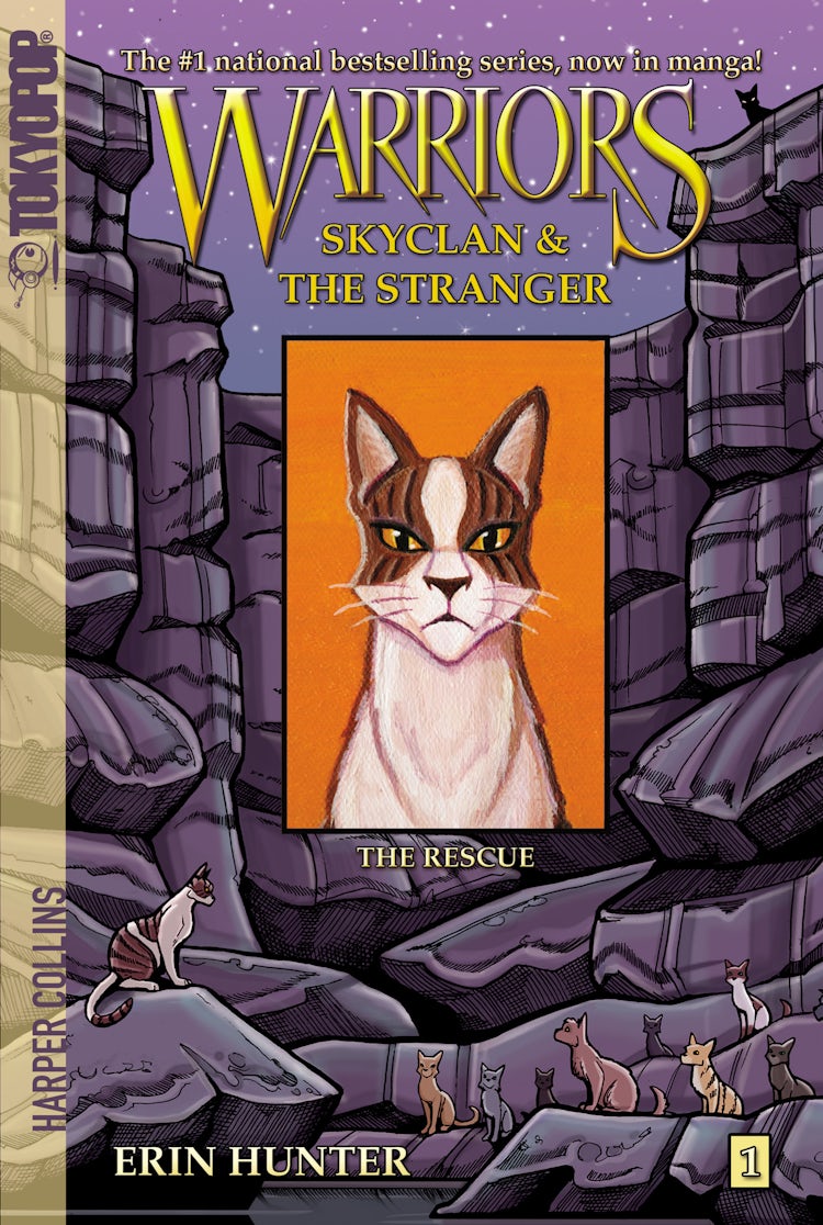 Cover image for Warriors: SkyClan and the Stranger #1: The Rescue, isbn: 9780062472212