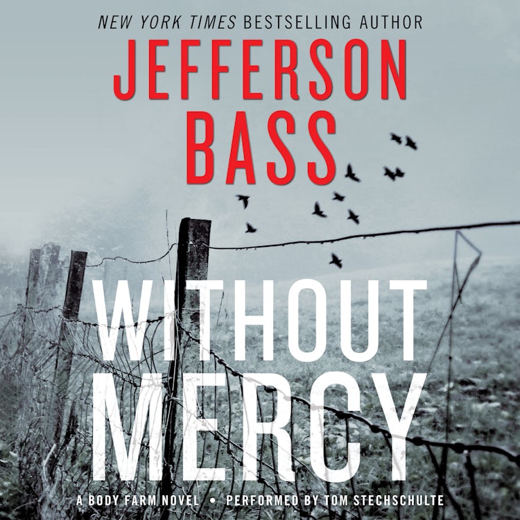 Cover image for Without Mercy, isbn: 9780062472519