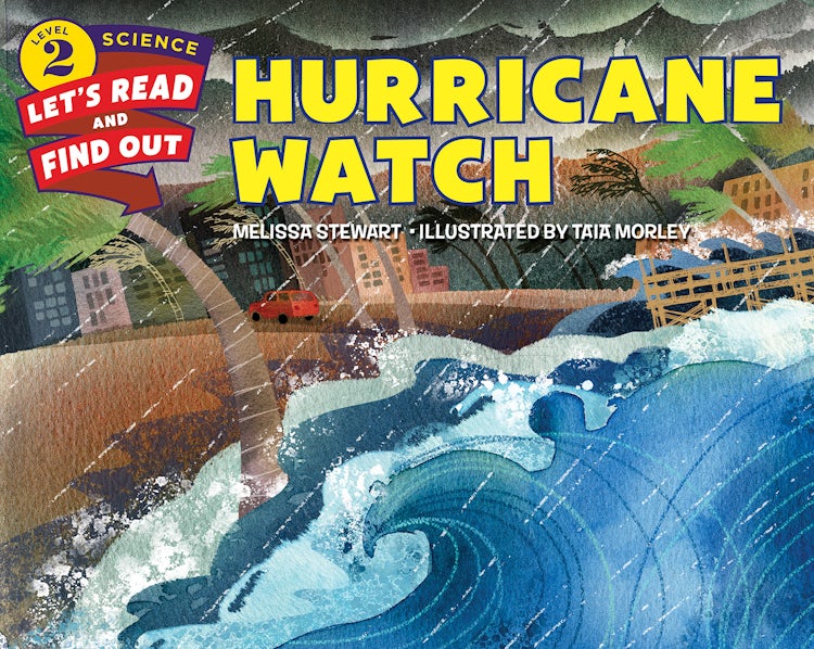 Cover image for Hurricane Watch, isbn: 9780062474520