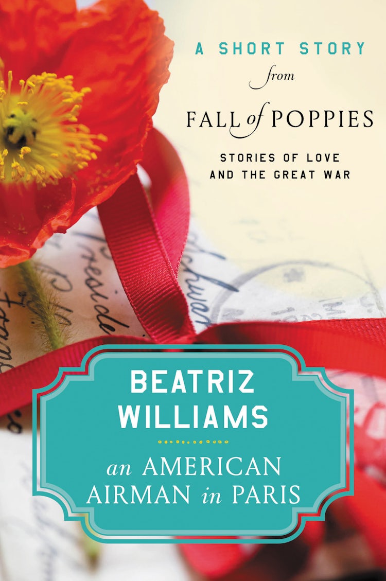 Cover image for An American Airman in Paris, isbn: 9780062476586