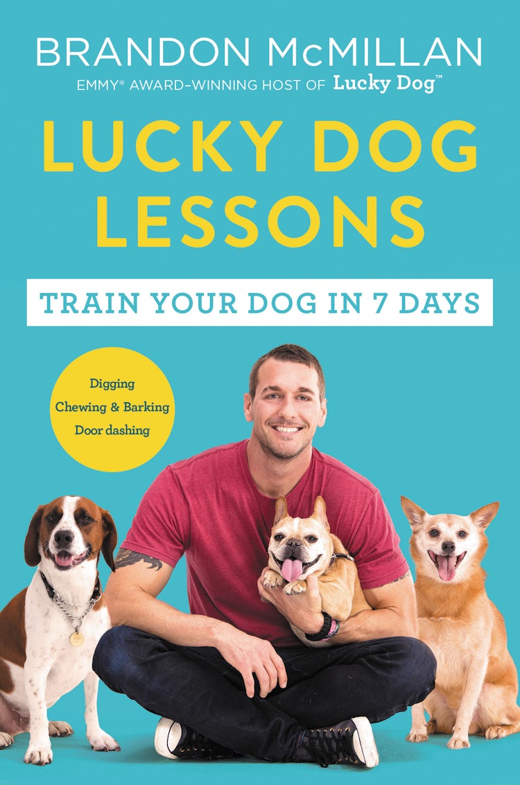 Cover image for Lucky Dog Lessons: Train Your Dog In 7 Days, isbn: 9780062479020