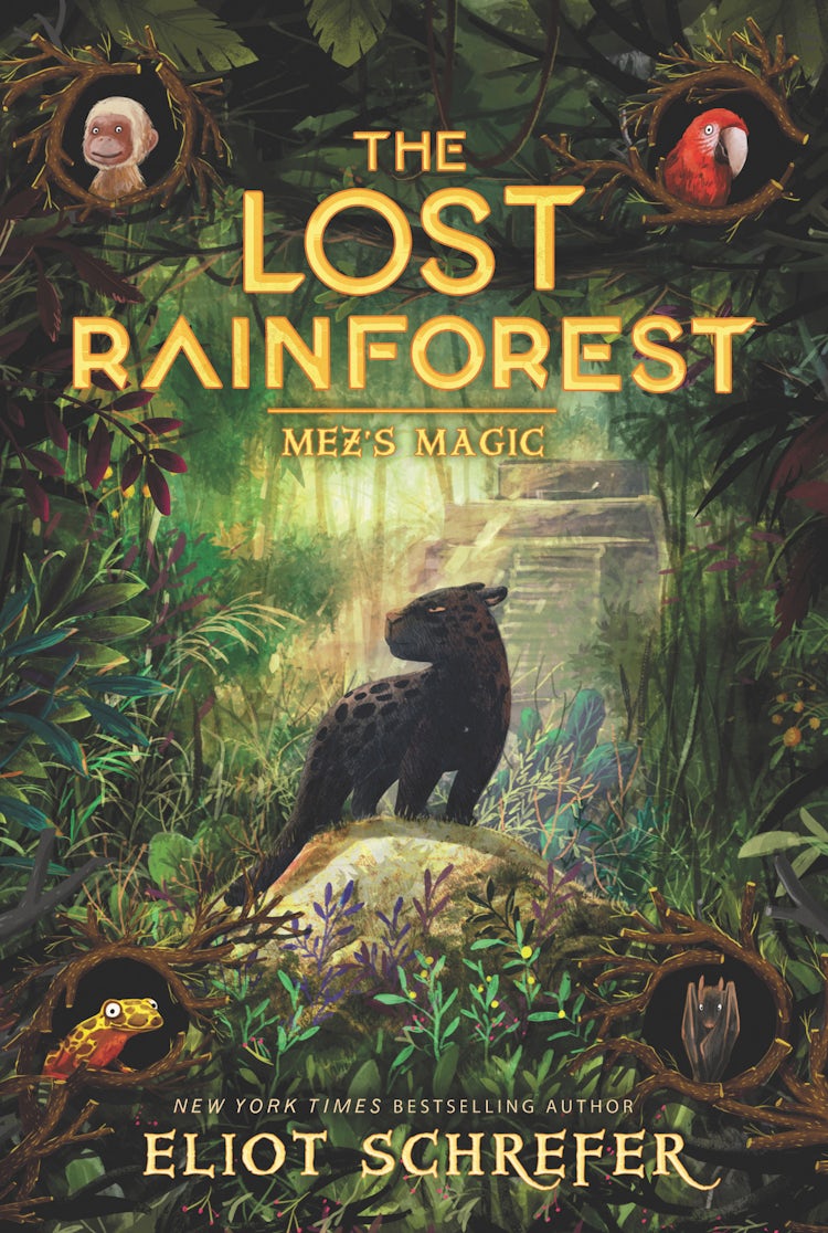 Cover image for The Lost Rainforest #1: Mez's Magic, isbn: 9780062491138