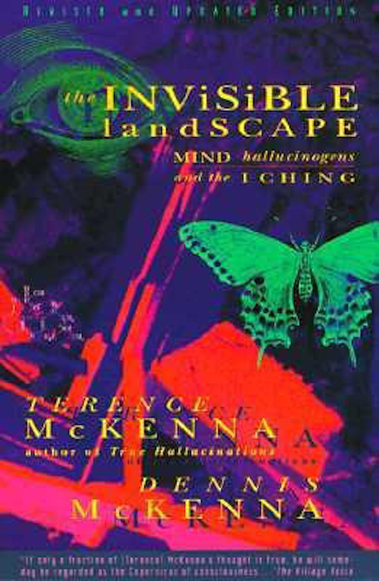 Cover image for The Invisible Landscape, isbn: 9780062506351