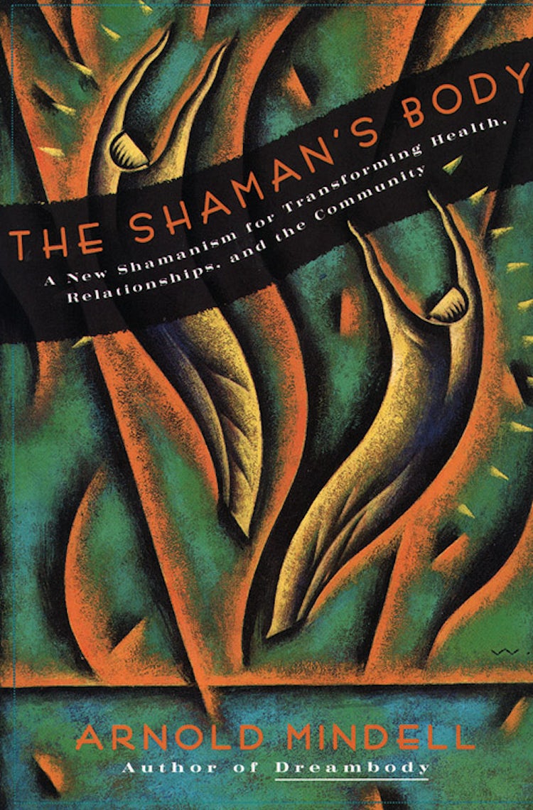 Cover image for The Shaman's Body, isbn: 9780062506559