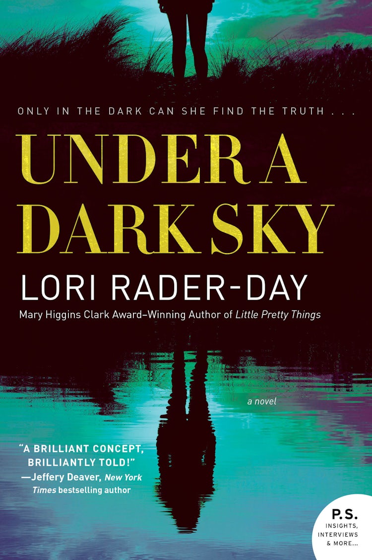 Cover image for Under a Dark Sky, isbn: 9780062560315